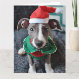 Tarjeta de Navidades Greyhound Elf Puppy