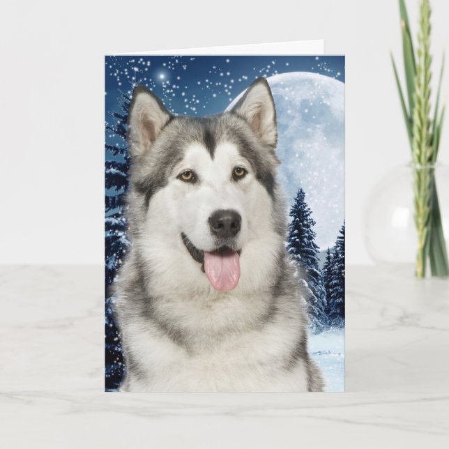 Tarjeta de Navidades Husky (Anverso)