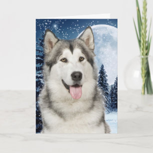 Tarjeta de Navidades Husky