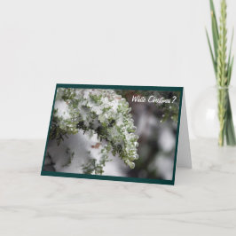 Tarjeta de Navidades Icy Evergreen