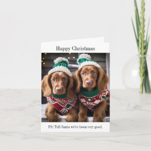 Tarjeta de Navidades irlandesa Setter Puppies