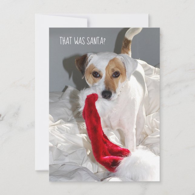 Tarjeta de Navidades Jack Russell (Anverso)