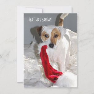 Tarjeta de Navidades Jack Russell
