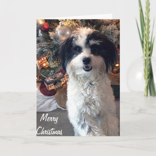 Tarjeta de Navidades K-Cee, Feliz Navidad (Anverso)