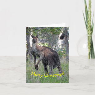 Tarjeta de navidades - Kangaroo