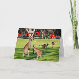 Tarjeta de navidades - Kangaroos en el parque