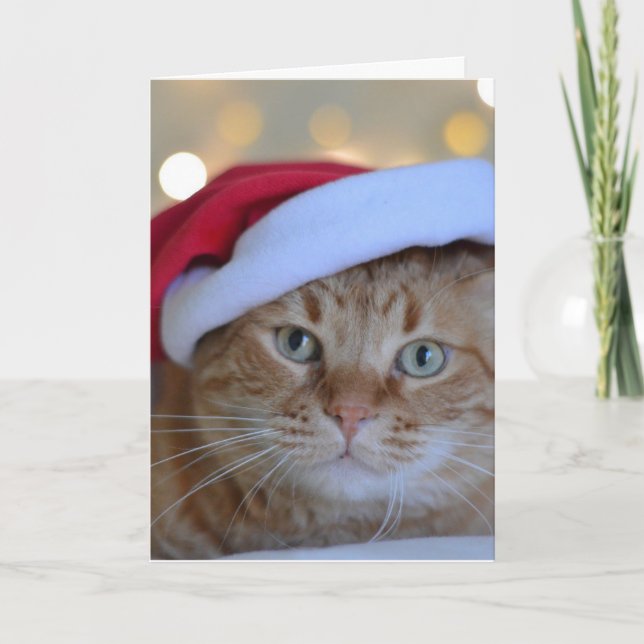 TARJETA DE NAVIDADES lindos GINGER CAT (Anverso)