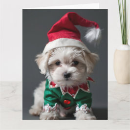 Tarjeta de Navidades malteses Terrier Elf Puppy