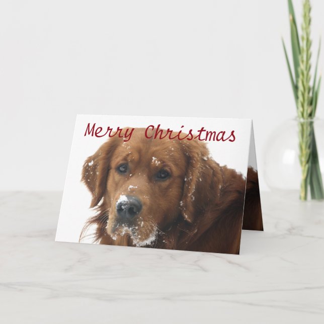 Tarjeta de Navidades Mascotas personalizados (Anverso)