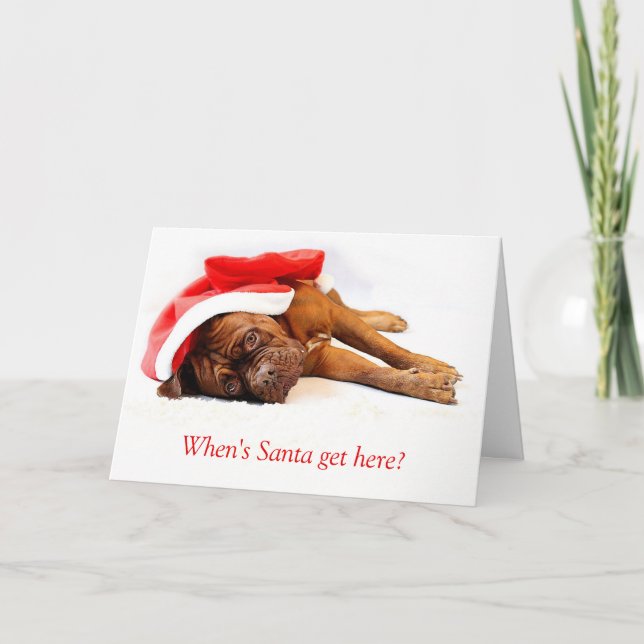 Tarjeta de Navidades Mastiff Francesa (Anverso)