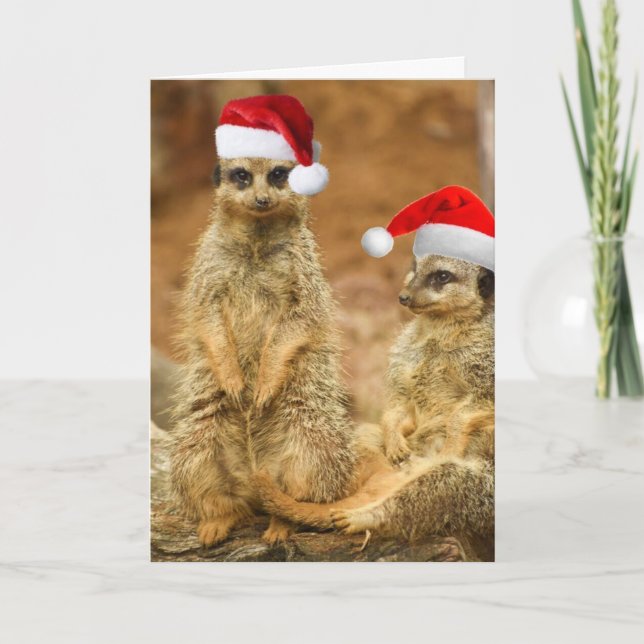 Tarjeta de Navidades Meerkat (Anverso)