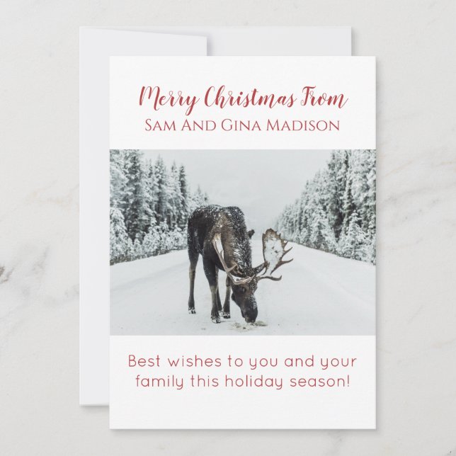 Tarjeta de Navidades Moose In Snow Wilderness (Anverso)