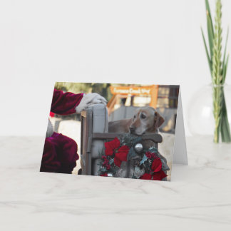 Tarjeta de navidades: Navidades en Valle de la Mue