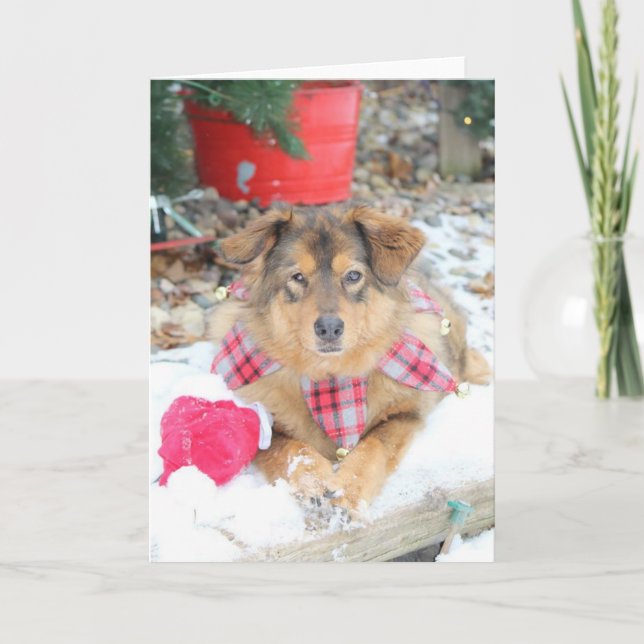 Tarjeta de Navidades - Navidades rescatados (Anverso)