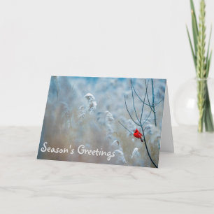 Tarjeta de Navidades navideños de la temporada de
