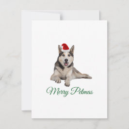 Tarjeta de Navidades navideños Merry Petmas husky