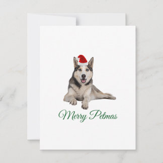 Tarjeta de Navidades navideños Merry Petmas husky