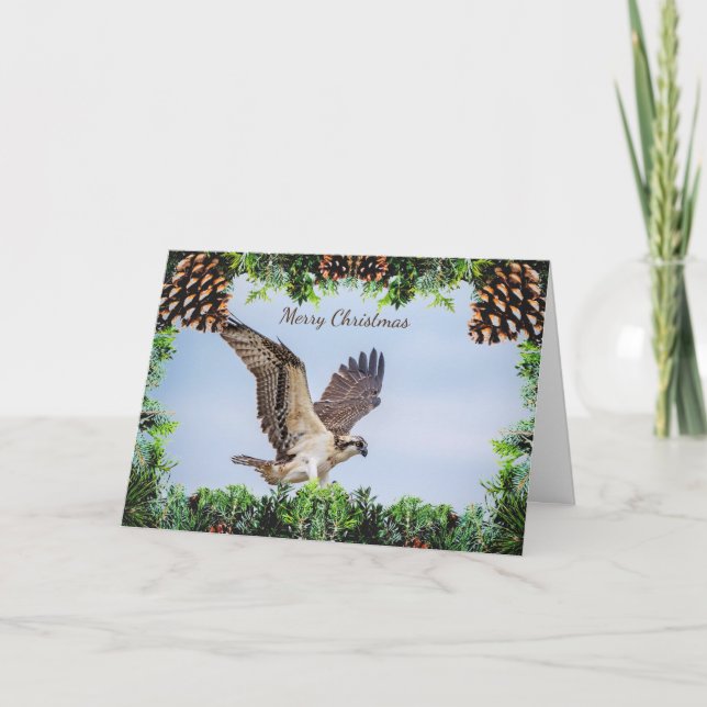 Tarjeta de Navidades Osprey (Anverso)