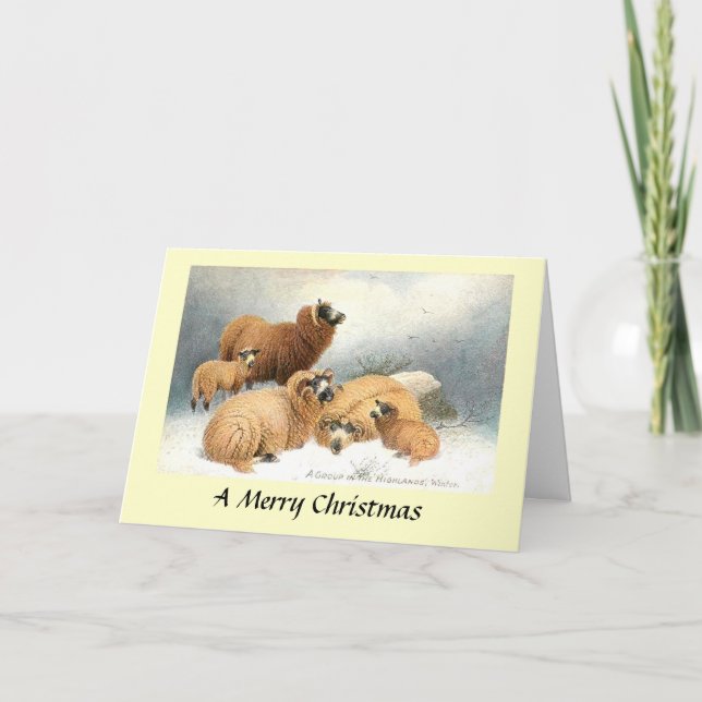 Tarjeta de navidades - Oveja en las tierras altas (Anverso)
