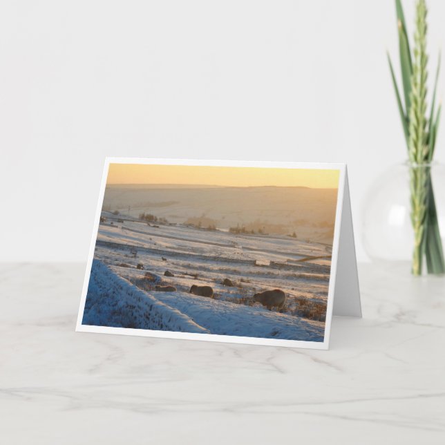 Tarjeta de Navidades ovinos de invierno (Anverso)