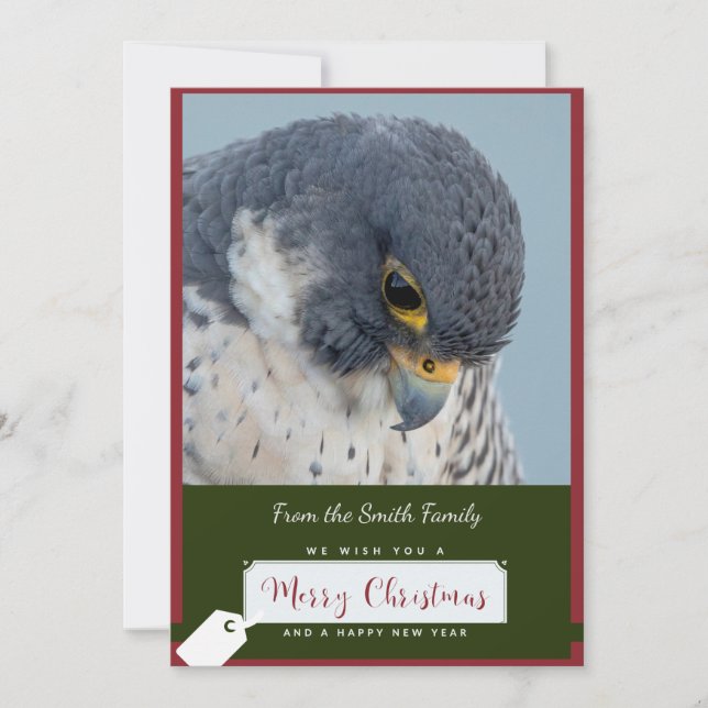 Tarjeta de Navidades Peregrine Falcon (Anverso)