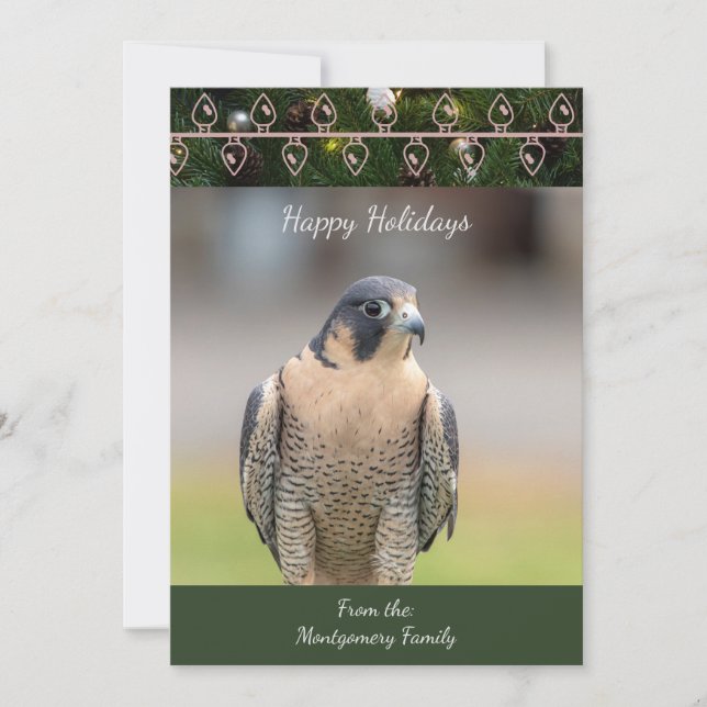 Tarjeta de Navidades Peregrine Falcon (Anverso)