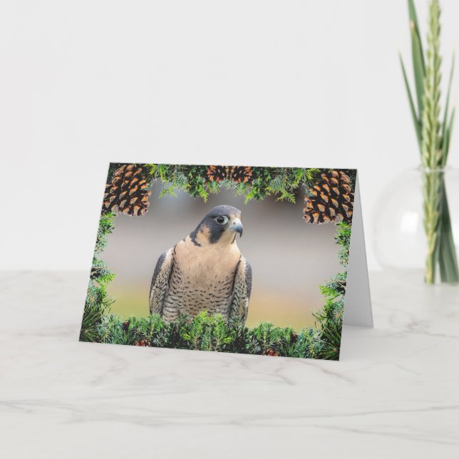 Tarjeta de Navidades Peregrine Falcon (Anverso)