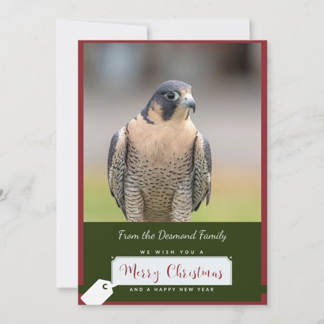 Tarjeta de Navidades Peregrine Falcon (Anverso)