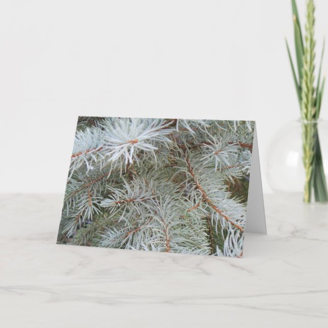 Tarjeta de Navidades Pine (Anverso)