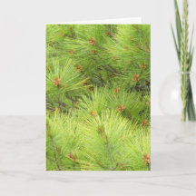 Tarjeta de Navidades Pine