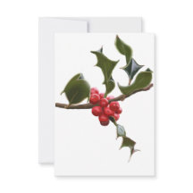 Tarjeta de Navidades planos Holly Berries