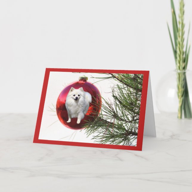 Tarjeta de Navidades Pomerania Ball Roja (Anverso)