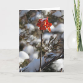 Tarjeta de Navidades "Prairie Blossom"