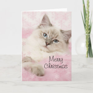 Tarjeta de Navidades Ragdoll