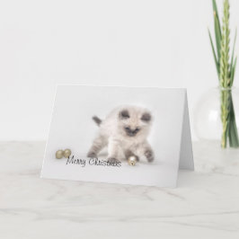 Tarjeta de Navidades Ragdoll kitten