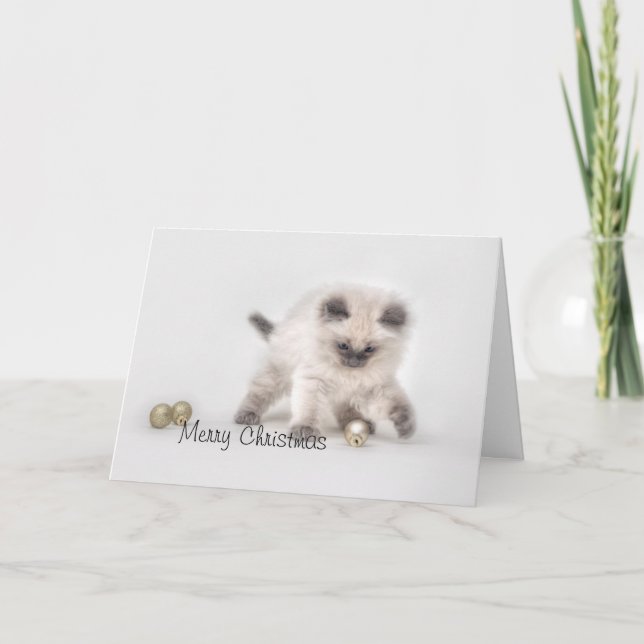 Tarjeta de Navidades Ragdoll kitten (Anverso)