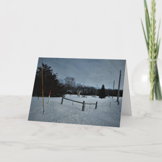 Tarjeta de Navidades "Rampage in the Park" (Anverso)