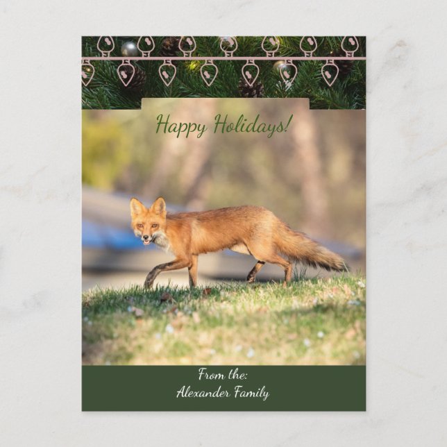 Tarjeta de Navidades Red Fox (Anverso)
