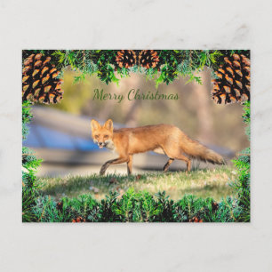 Tarjeta de Navidades Red Fox