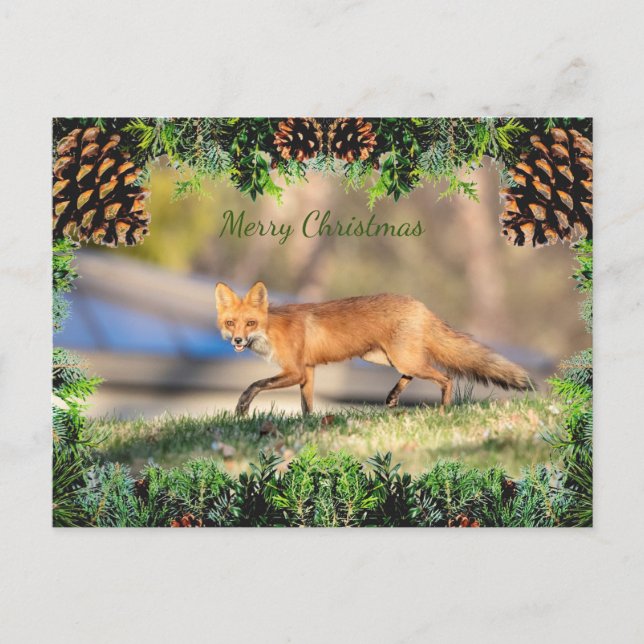 Tarjeta de Navidades Red Fox (Anverso)