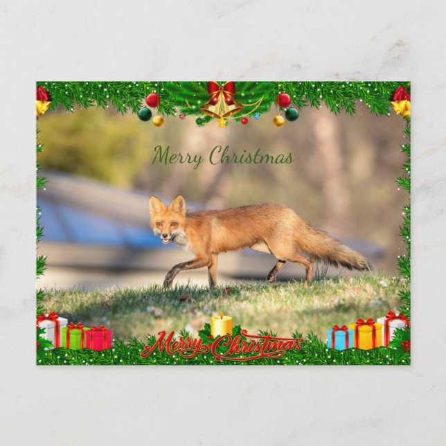 Tarjeta de Navidades Red Fox (Anverso)