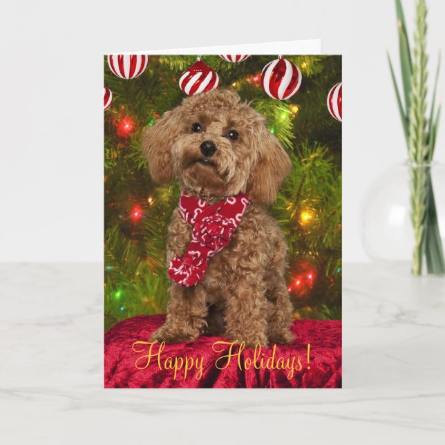 Tarjeta de Navidades Red Poodle (Anverso)