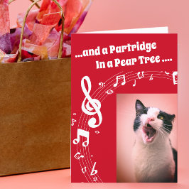 Tarjeta de Navidades rojos canto de humor canto de