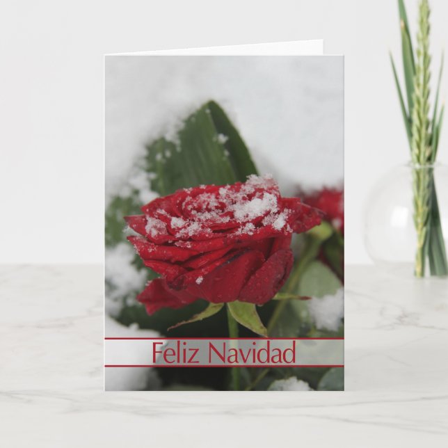 Tarjeta de Navidades rosa de Invierno de España (Anverso)