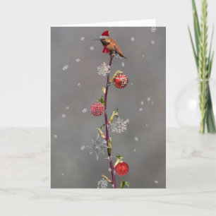 Tarjeta de Navidades Rufous Hummingbird