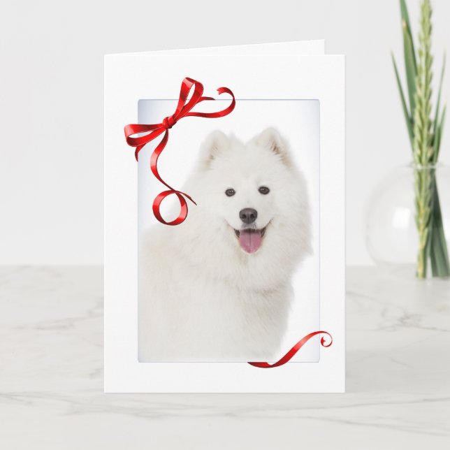 Tarjeta de Navidades Samoyed (Anverso)