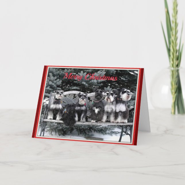 Tarjeta de Navidades Schnauzer (Anverso)
