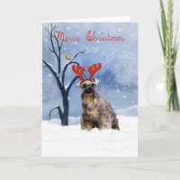 tarjeta de navidades schnauzer - schnauzer tiene r