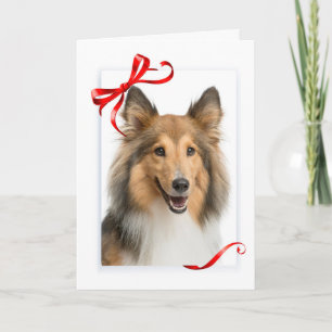 Tarjeta de Navidades Sheltie