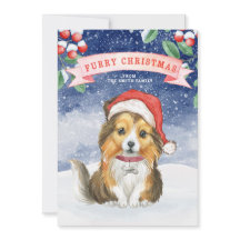 Tarjeta de Navidades Sheltie Furry para Navidades 